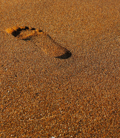 //viziehr.nl/wp-content/uploads/2023/04/beach.jpg