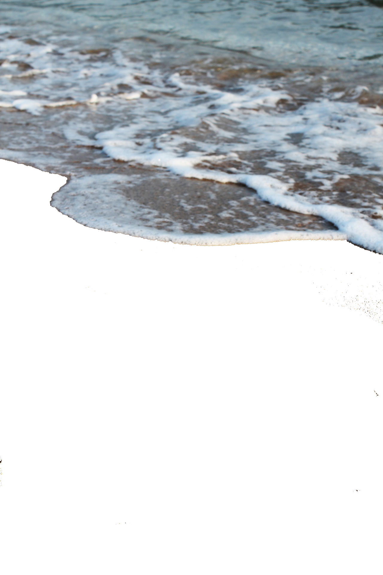 //viziehr.nl/wp-content/uploads/2023/04/sea-top.png